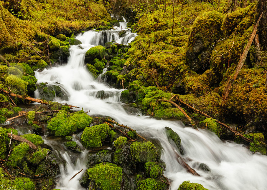Cascade of water over boulders and moss from snow melt in spring from the Chugach Mountains bordering Eyak Lake  in Southcentral Alaska. Afternoon.