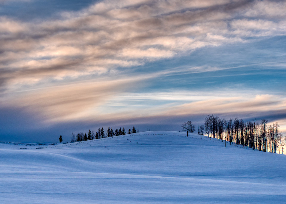 Trees On A Snowy Skyline Photography Art | Peter Batty Photography