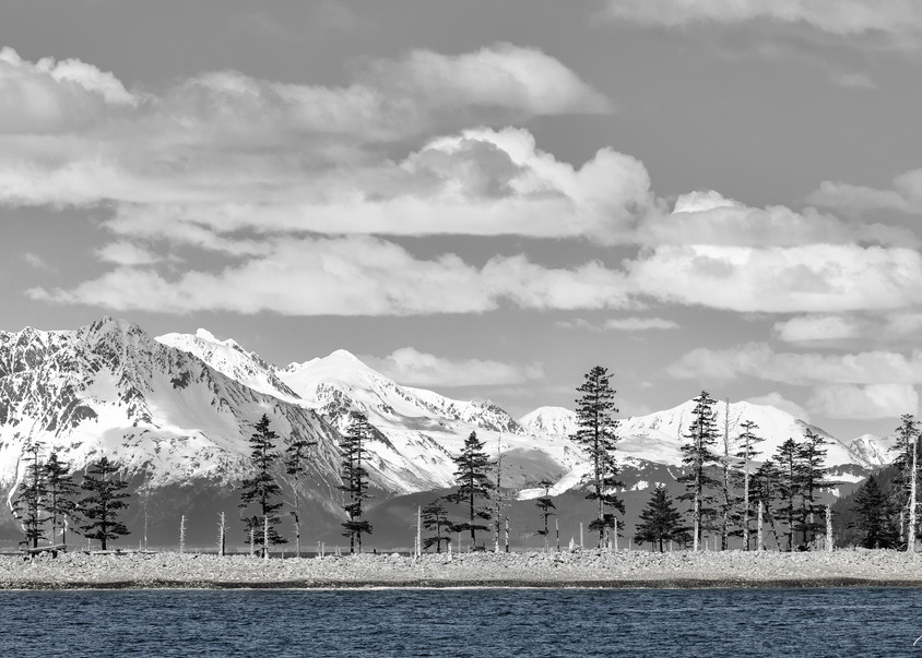 Sandspit Point and the Kenai Mountains  near Seward in Southcentral Alaska. Spring. Afternoon.