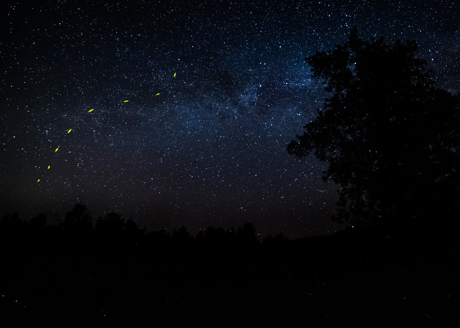 Night Photography of Stars and Fireflies | Nathan Larson Photography