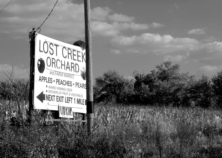 Lost Creek Orchard Photography Art | Peter Welch