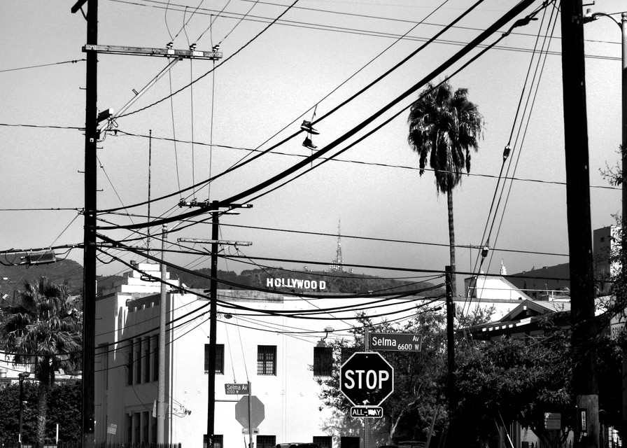  Hollywood Power Lines Photography Art | Peter Welch