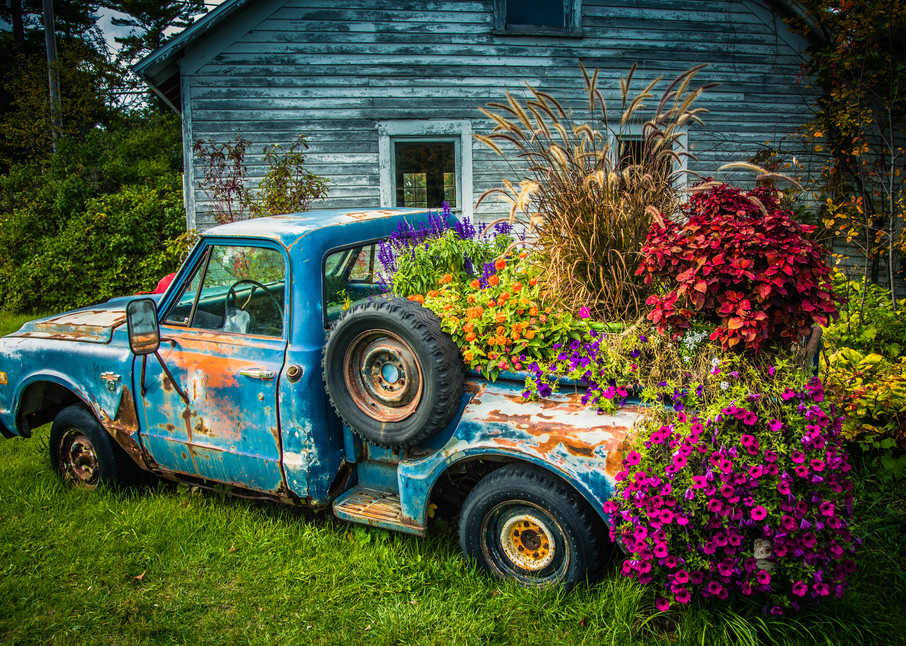 Flower Bed by Mike Caplan