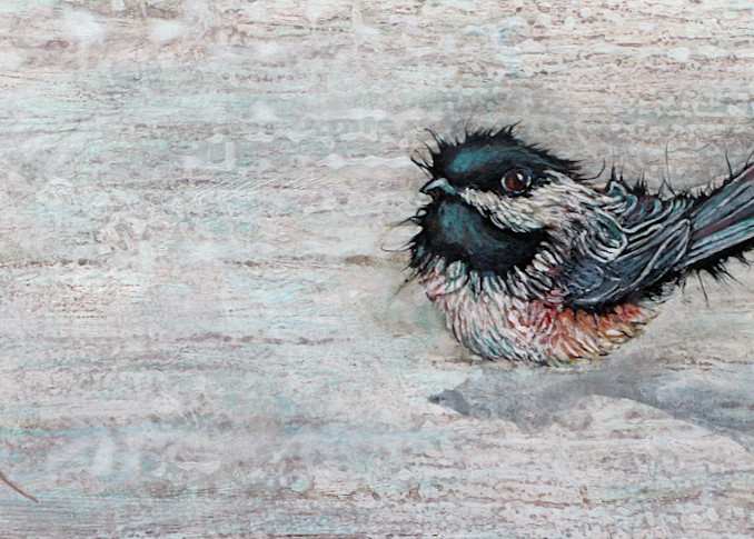 Weathered Chickadee 3 | Col Mitchell Contemporary Paper Artist