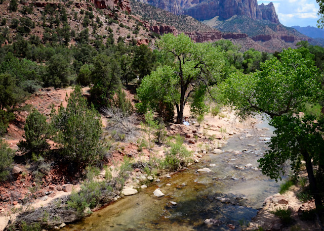 The Zion Canyon
