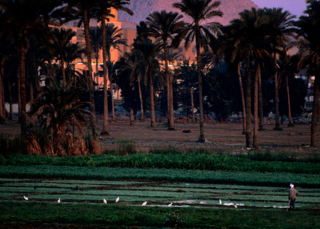Cairo 5am Photography Art | templeimagery