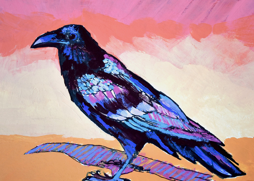 Raven Study, art by Jenny Hahn