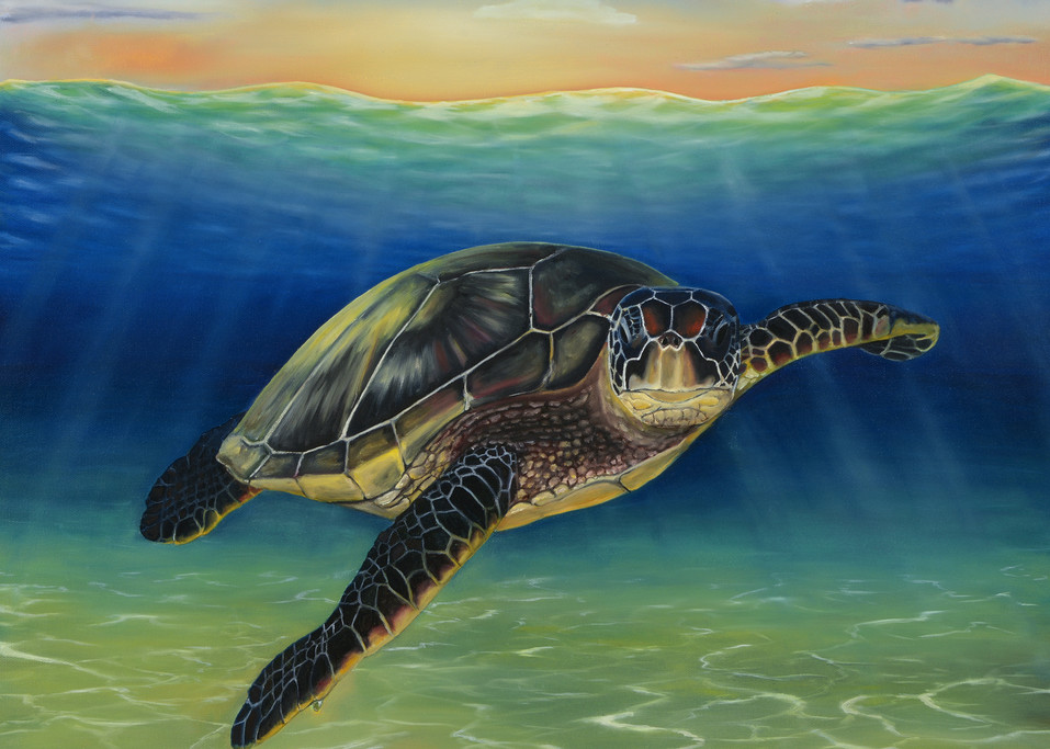 Sea Turtle Oil Art | MMG Art Studio | Fine Art Colorado Gallery