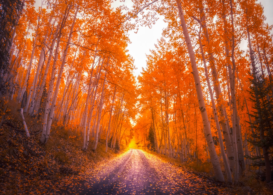 Fall Country Road Photography Art | Derrick Snider Imagery