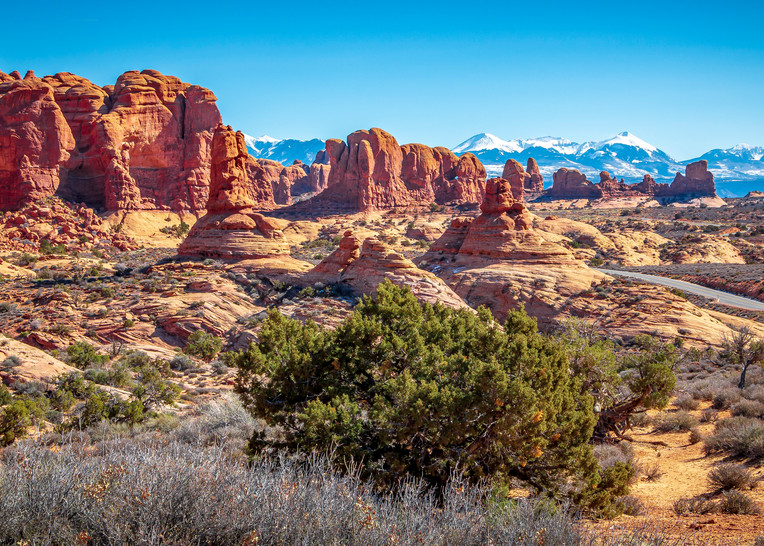 Garden Of Eden Photography Art | Kermit Carlyle Photography 