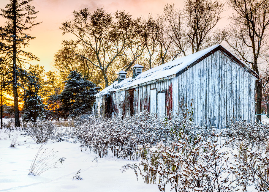 Resting In The Autumn Snow Photography Art | Trevor Pottelberg Photography