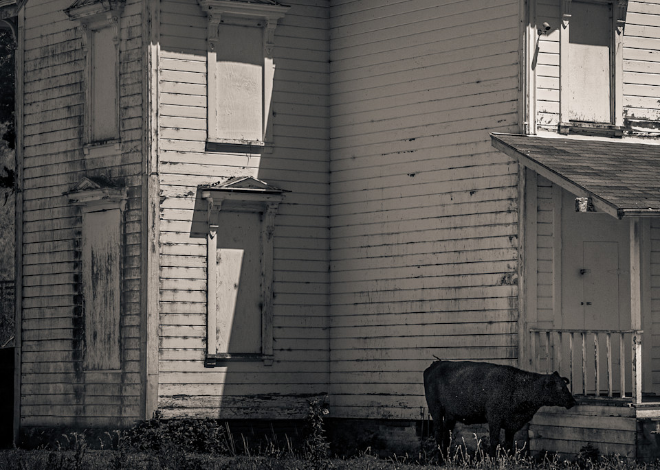 Abandoned House Pt Reyes Art | Dan Katz Photography