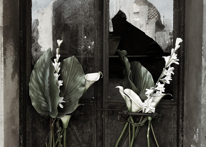 Palms Lilies And Broken Panes Photography Art | Dan Katz, Inc.