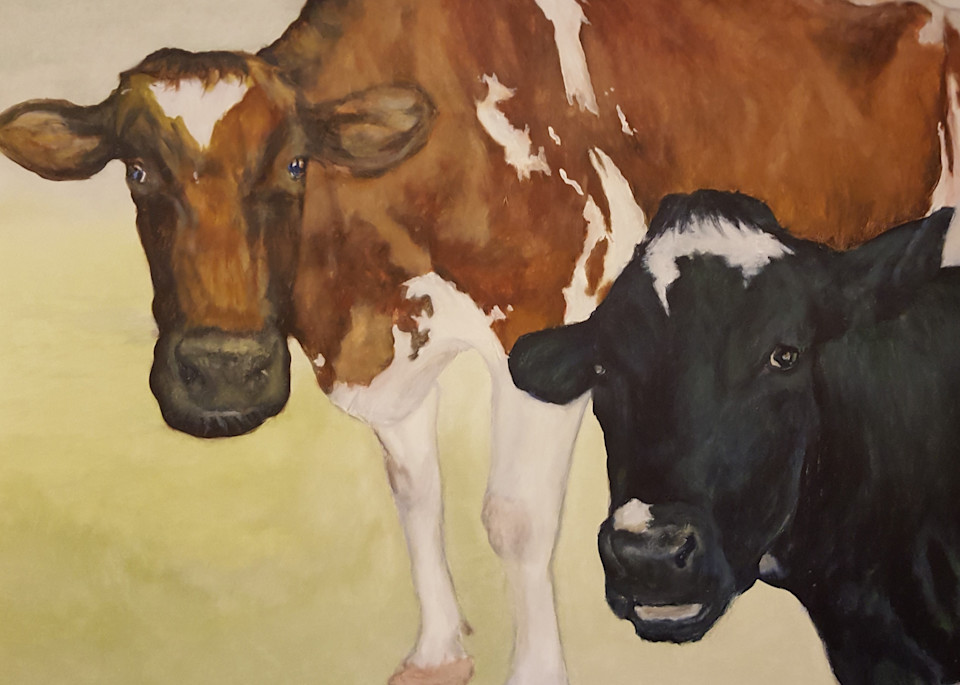 Patrick Family Cows: Ayreshire & Holstein, 2017 Art | Jonathan Mann ART
