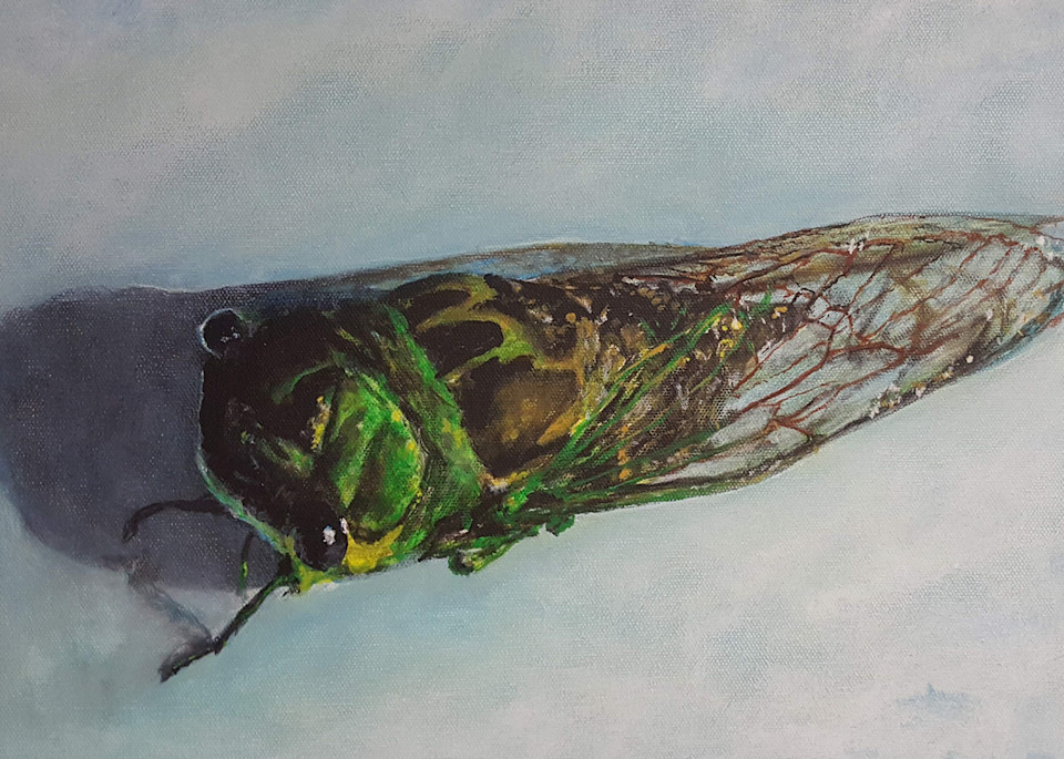 Cicada  #2, 2017 Art | Jonathan Mann ART