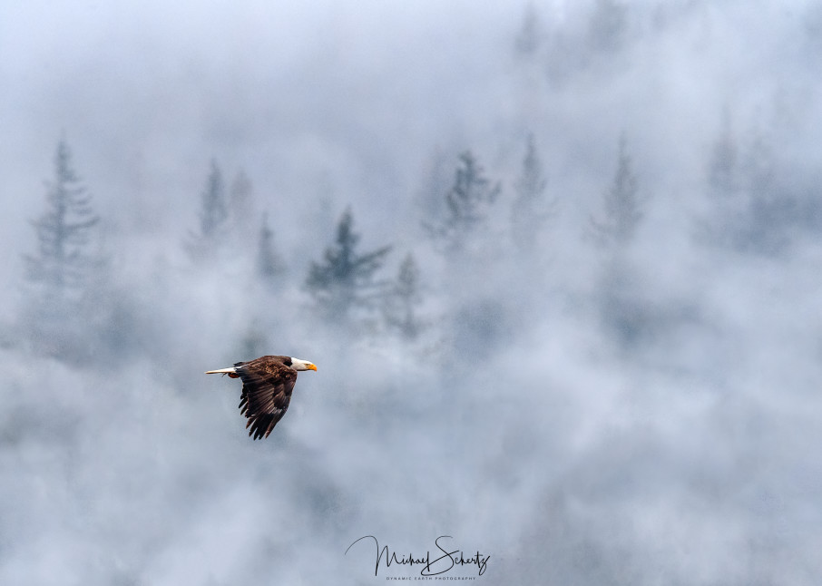 Misty Majestic Morning Photography Art | dynamicearthphotos