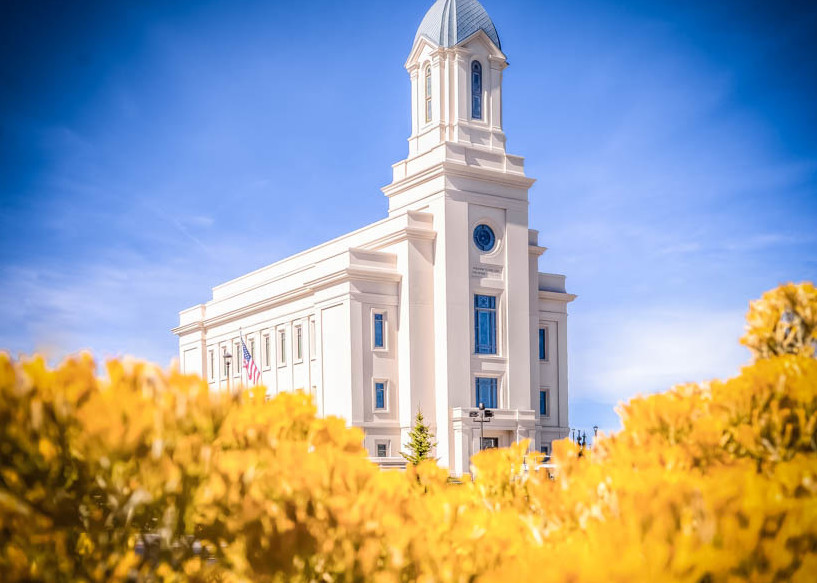 Cedar City Utah Temple - Yellow Field