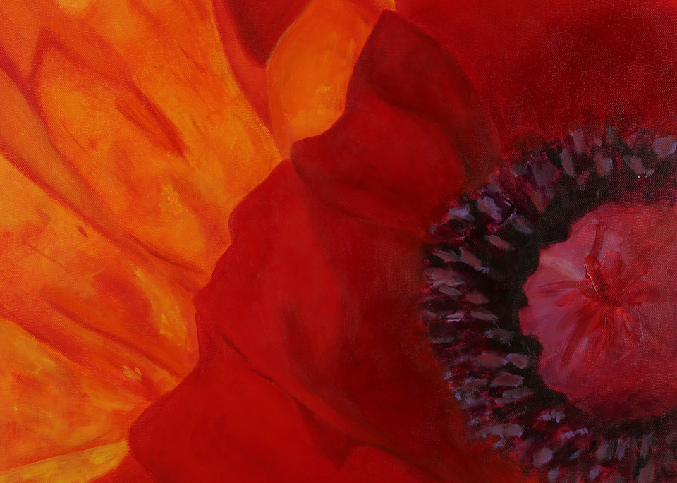 Poppy Study Art | Leslie Cline