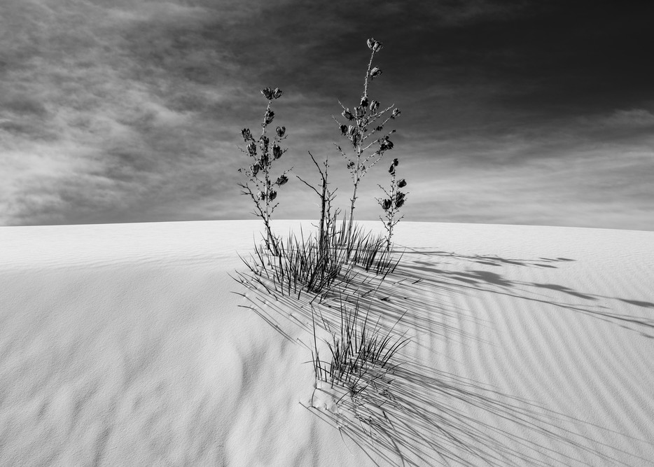 White Sands, Nm #10 Photography Art | Kit Noble Photography