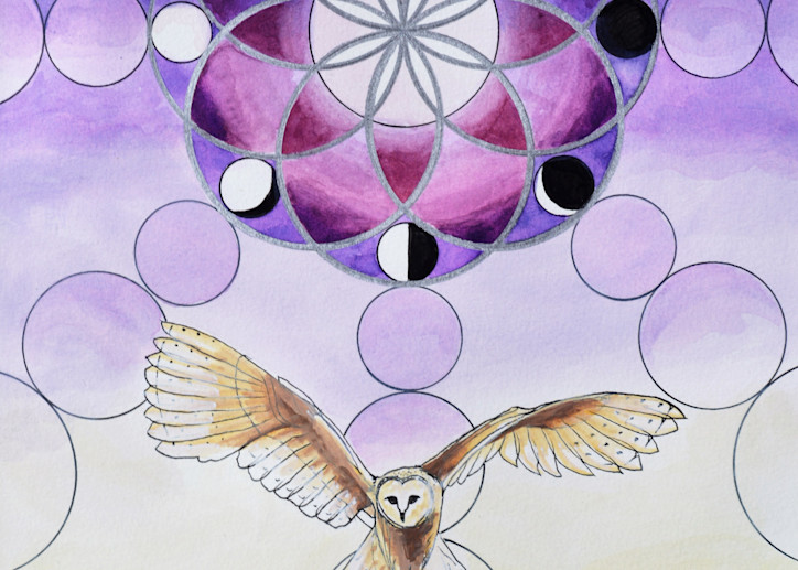 Barn Owl Flying Silently Over The English Countryside Art | Gnarwhal Designs