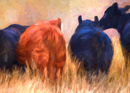 Following Northbound Cows Art | chuckrenstrom.com