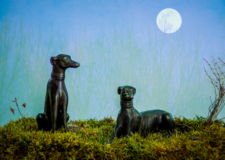 Moon Dogs Photography Art | Kim Bova Photography