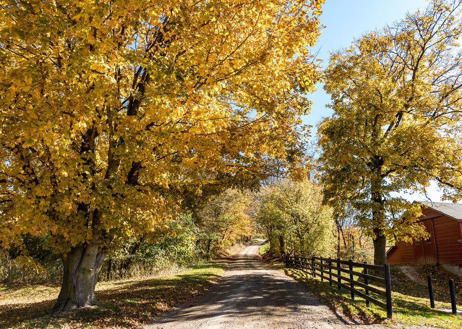 Country Road... Take Me Home Photography Art | Gingerich PhotoArt