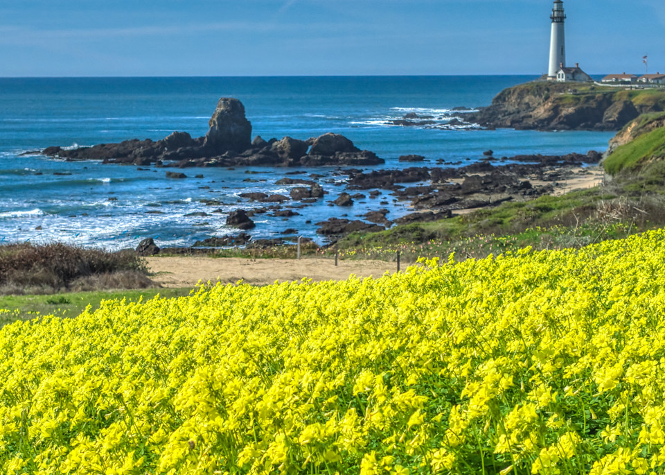 Pigeon Point Lighthouse Photography Art | FocusPro Services, Inc.