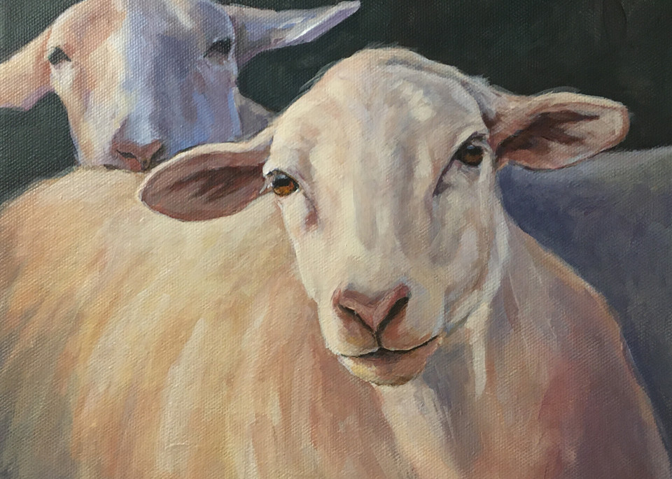 Ewe Two Art | Joan Frimberger Fine Art