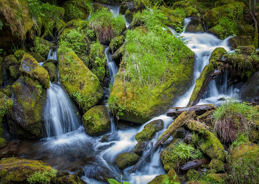 Mossy boulders and water