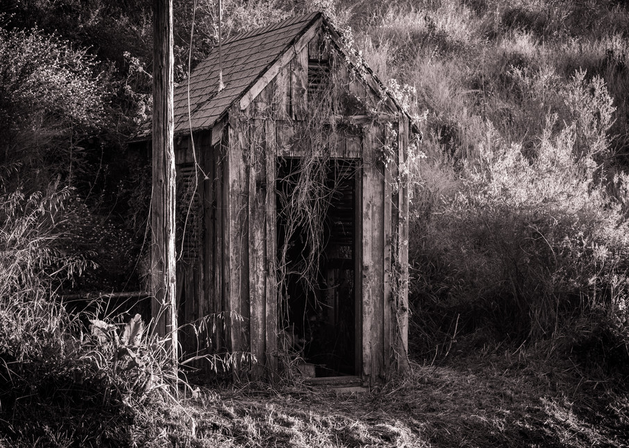 Antique Shed in Black and White - California old building architecture photograph print