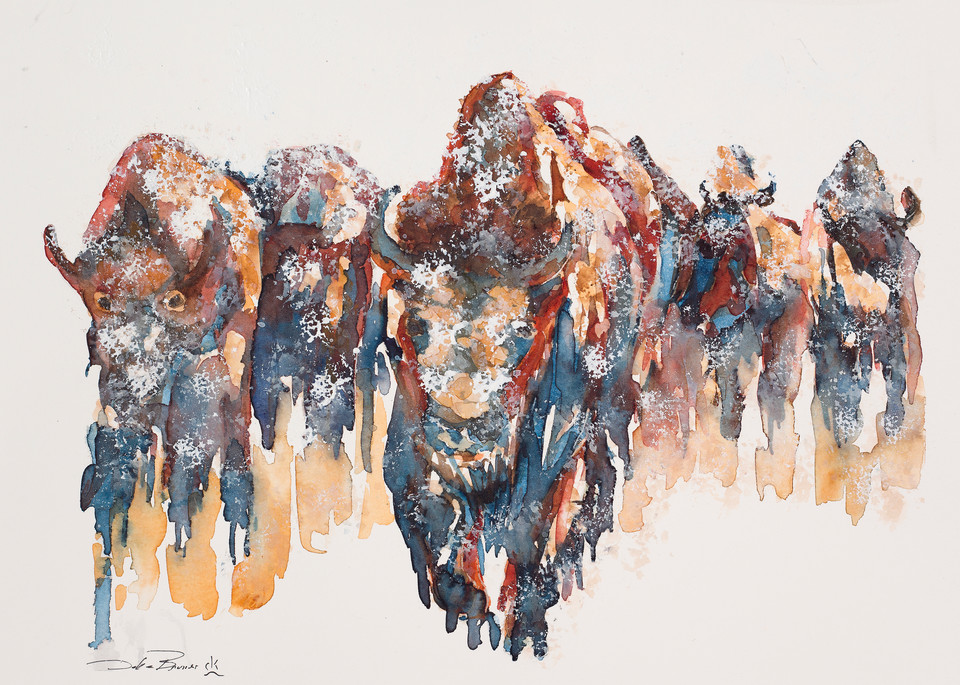 Snow Bison Art | Debra Bruner Studio