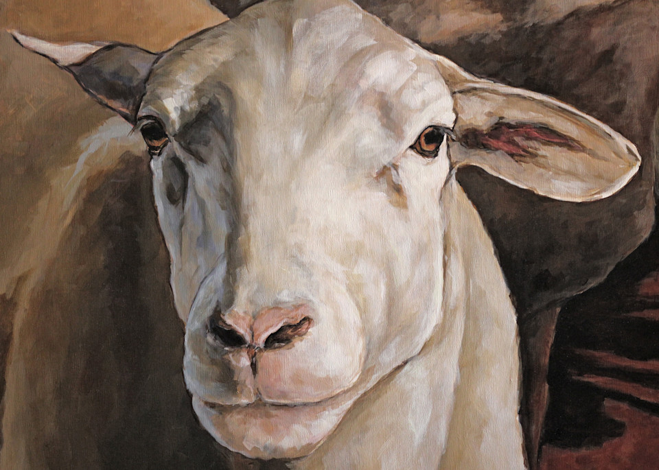 Ewes In The Paddock Detail Art | Joan Frimberger Fine Art