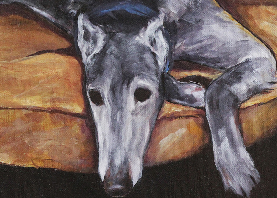 Greyhound Lounging Art | Joan Frimberger Fine Art