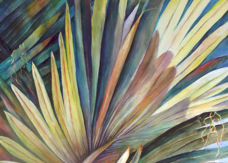 Palm Tree, From an Original Watercolor Painting