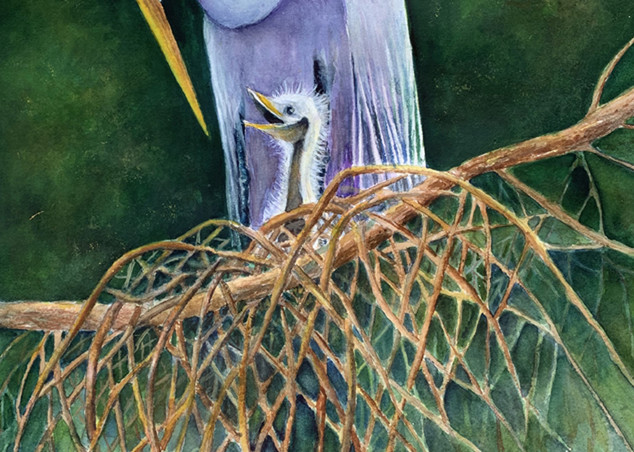 Heron‚ Baby, From an Original Watercolor Painting