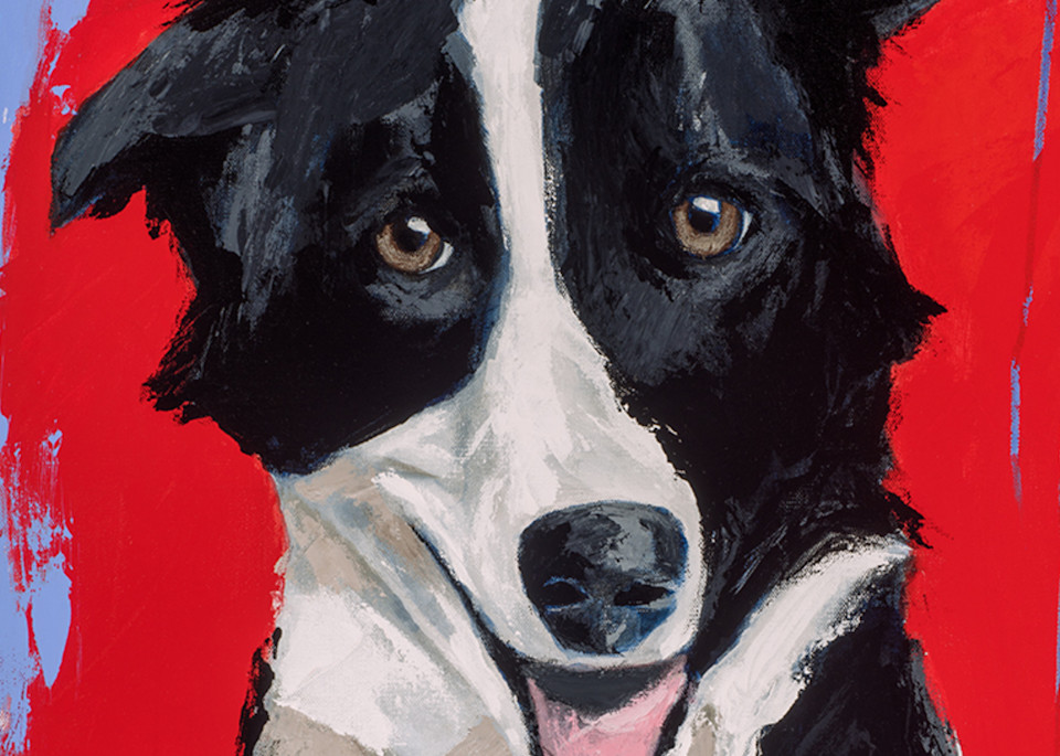 Border Collie Inspired Wall Art: Shop Prints by Tif Stout Fine Art
