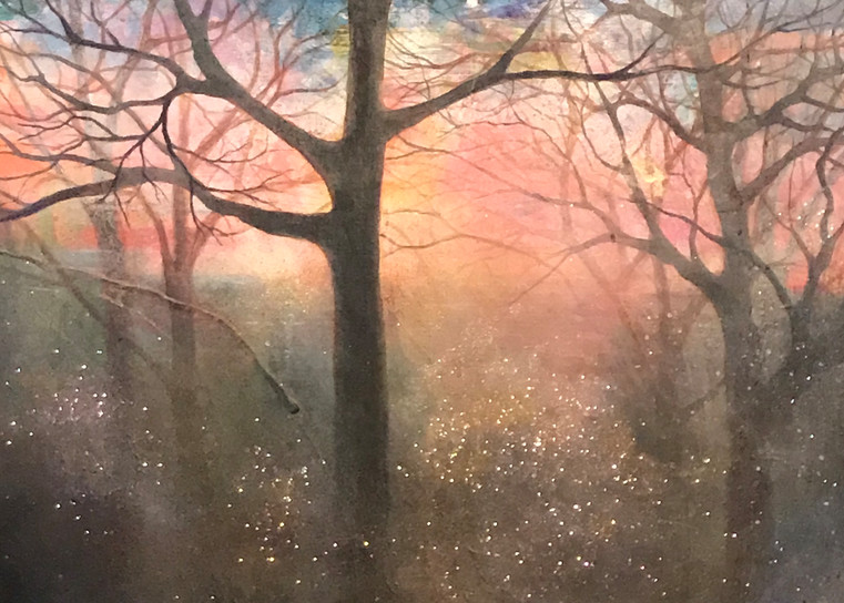Wilderness Of Light Art | Cindy Bettinger