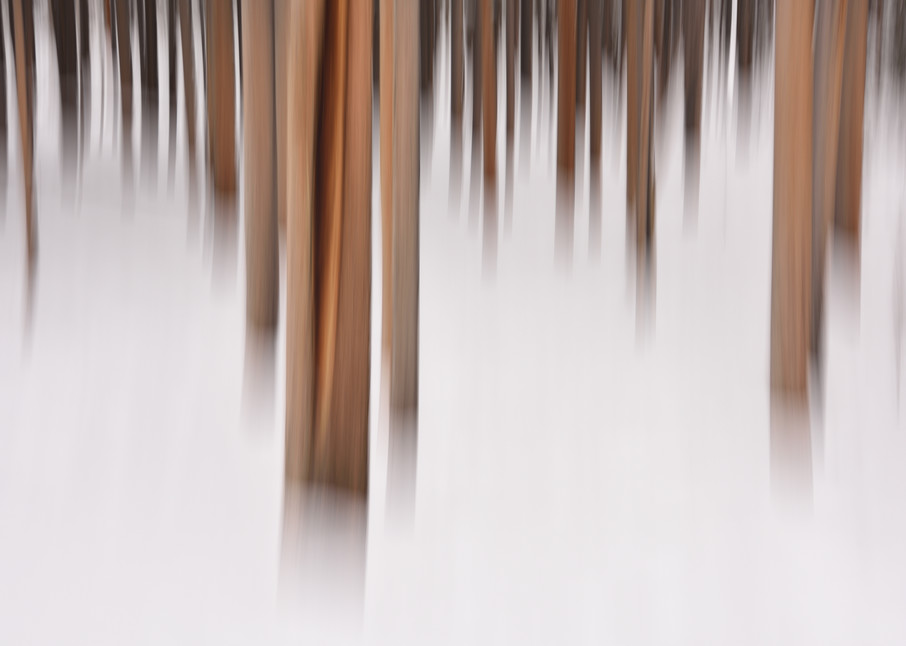 Winter Lands - Motion Blur Photographs Yellowstone National Park - Fine Art Prints on Metal, Canvas, Paper & More By Kevin Odette Photography