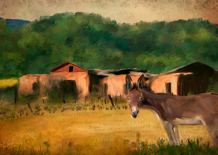 Donkey Oatie Art | chuckrenstrom.com
