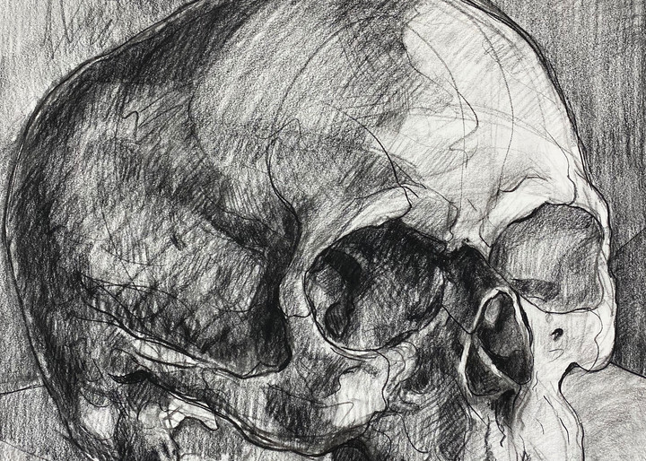 Skull V.6 Art | Matt Pierson Artworks