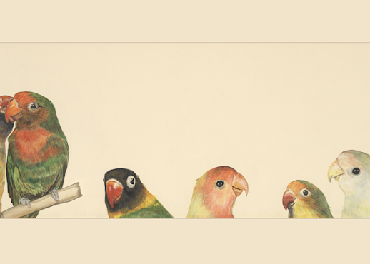 Lovebirds Giclee Print by DevaArt Studio