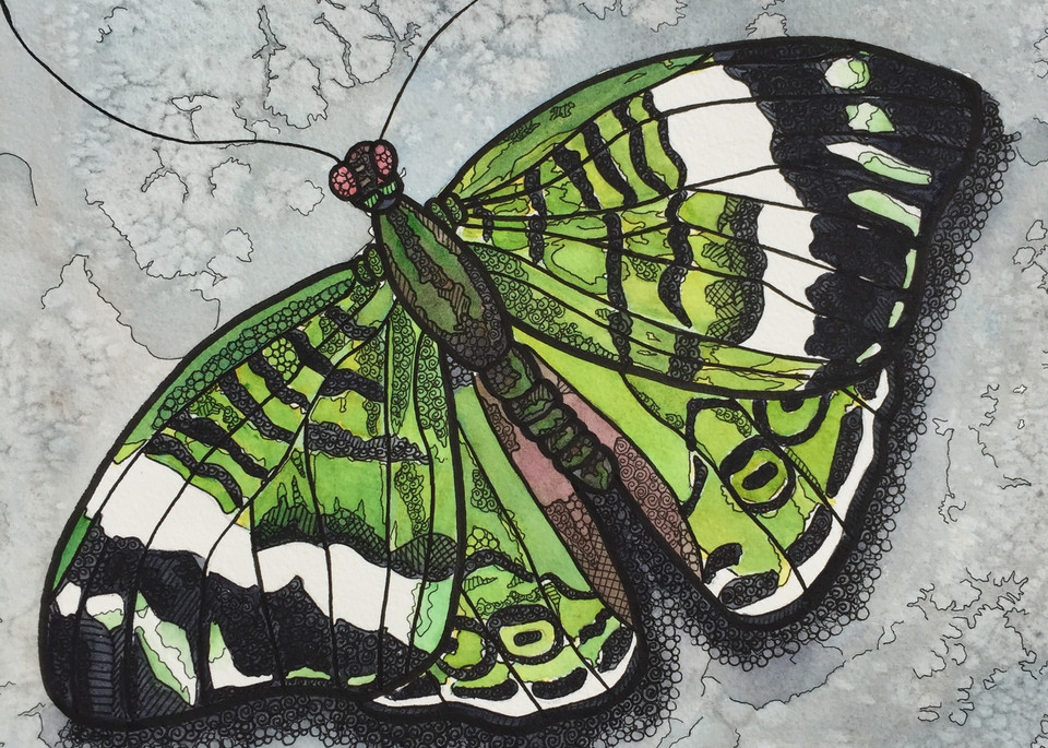 Emerald Butterfly Art | Water+Ink Studios