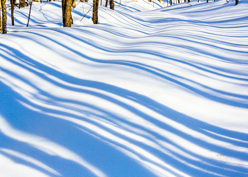 Winter Shadows, trees, Snow, Muskoka, Ontario, Canada