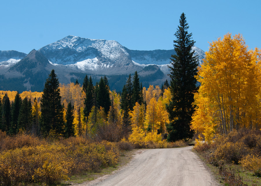 Kebler Pass Road 3 Colorado Photography Art | Steve Rotholz Photography