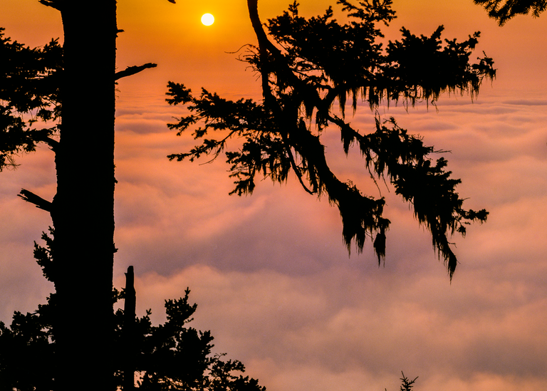 Fine Art Print | Breathtaking Sunset Above the Clouds 