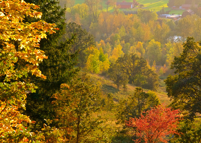 Fall View From Mt Pisgah Art | Shaun McGrath Photography