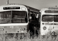 an image of old retired city busses in northern california just made for a black and white panorama photo