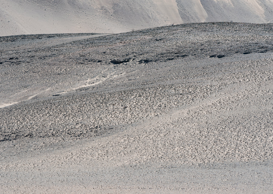 Namib Desert Art | Roost Studios, Inc.