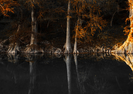 Trees reflected in the Guadalupe River on a fall day
